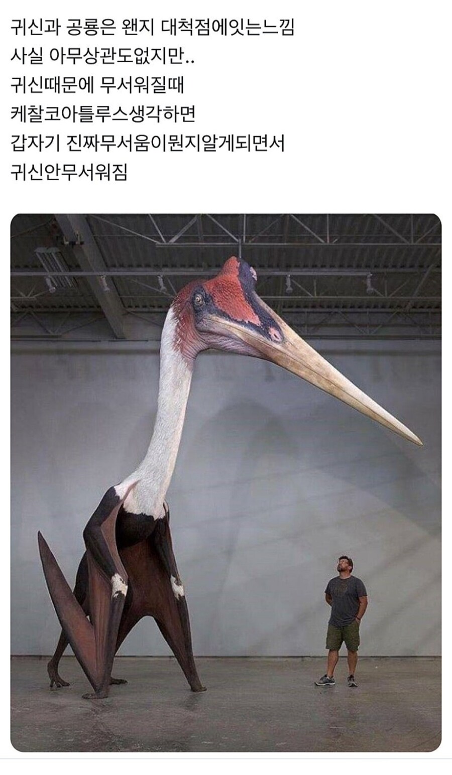 귀신 무서워하지 않아도 되는 이유_1.jpg
