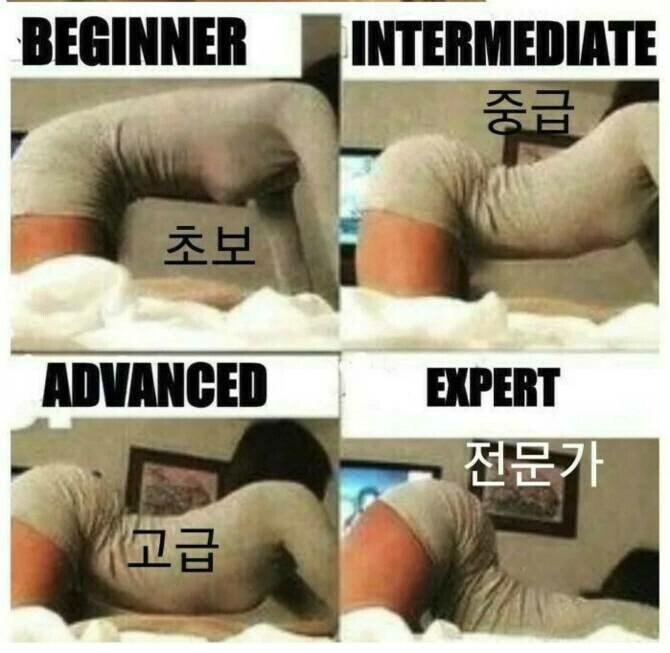 다양한 허리 운동 자세_1.jpg