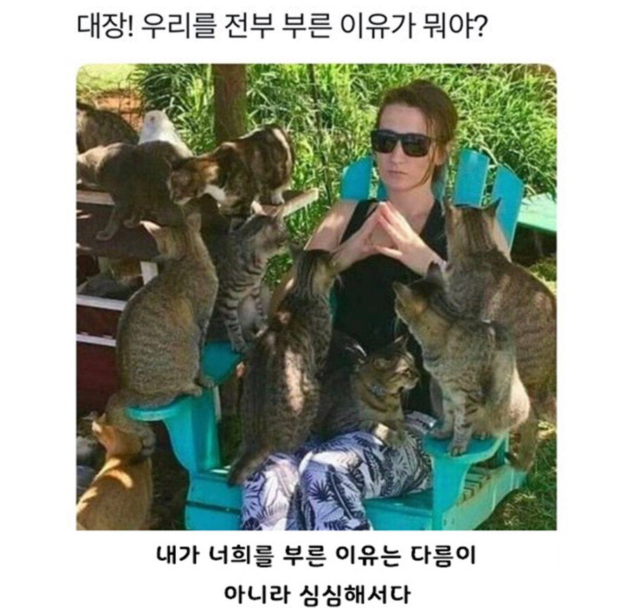 대장 우릴 전부 부른 이유가 뭐냥_1.jpg
