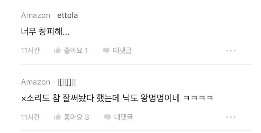 아마존:글 내려 ㅁㅊ놈아.jpe_8.webp