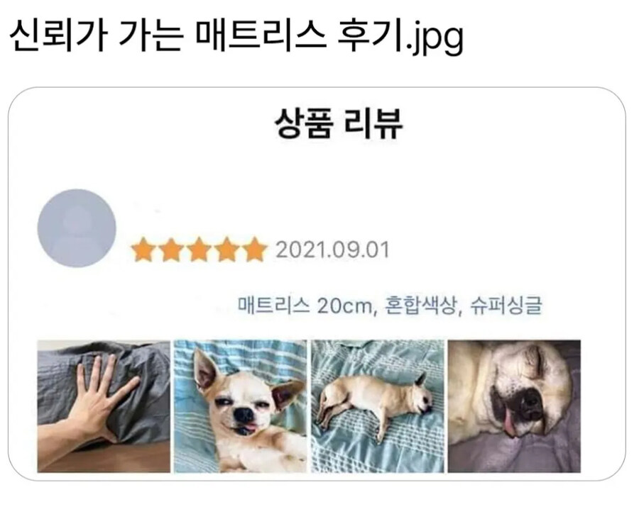 믿음 가는 매트릭스 후기_1.jpg