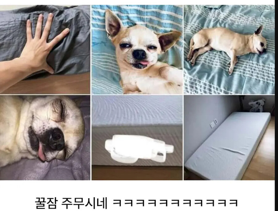 믿음 가는 매트릭스 후기_2.jpg