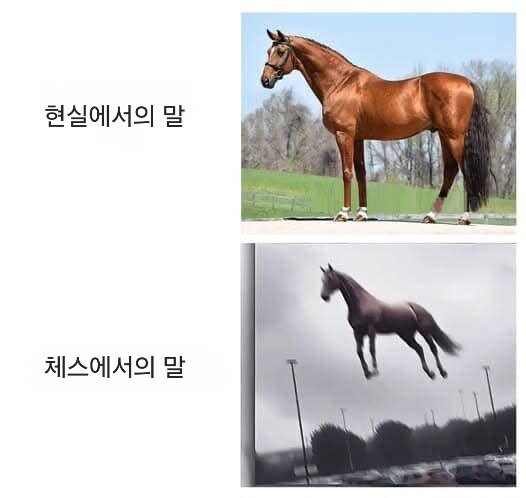현실말과 체스말_1.jpg