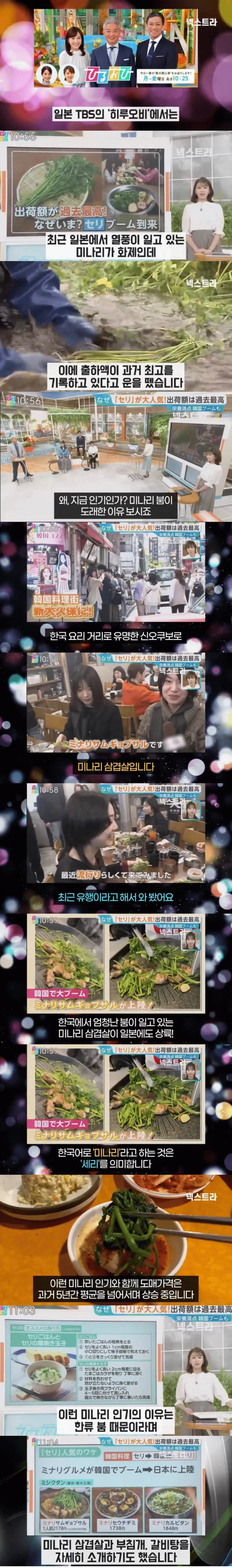 일본에서 미나리 열풍이 부는 이유_1.webp