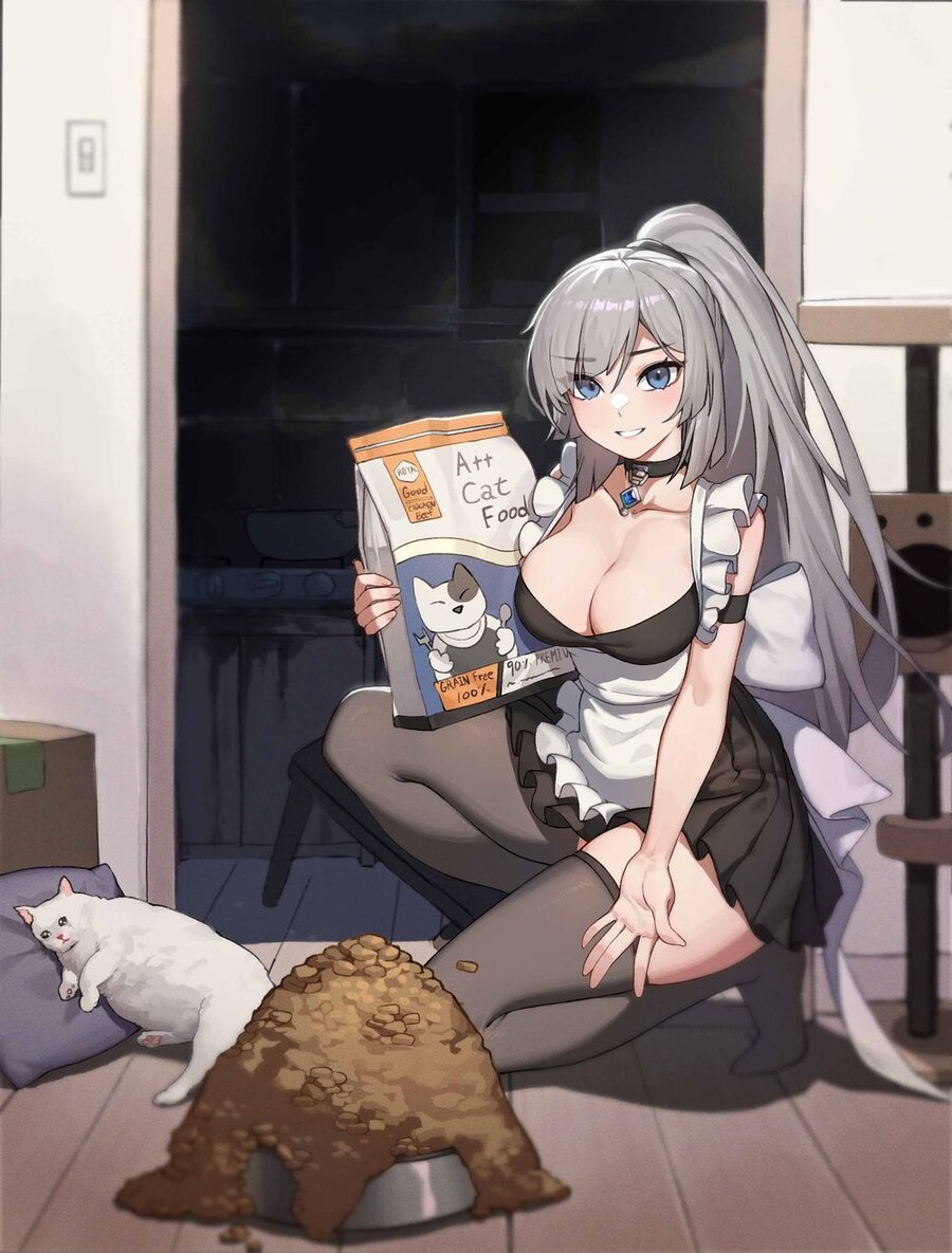 상습 고양이 확대범_1.jpg