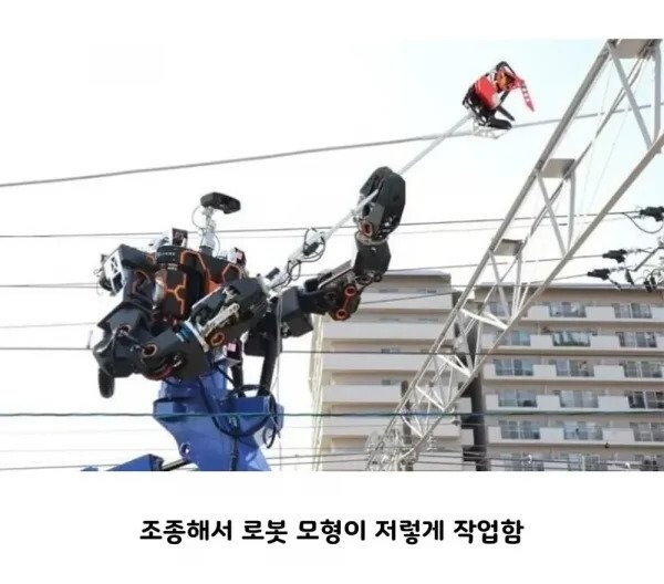 직업만족도 엄청난 직업_2.jpg