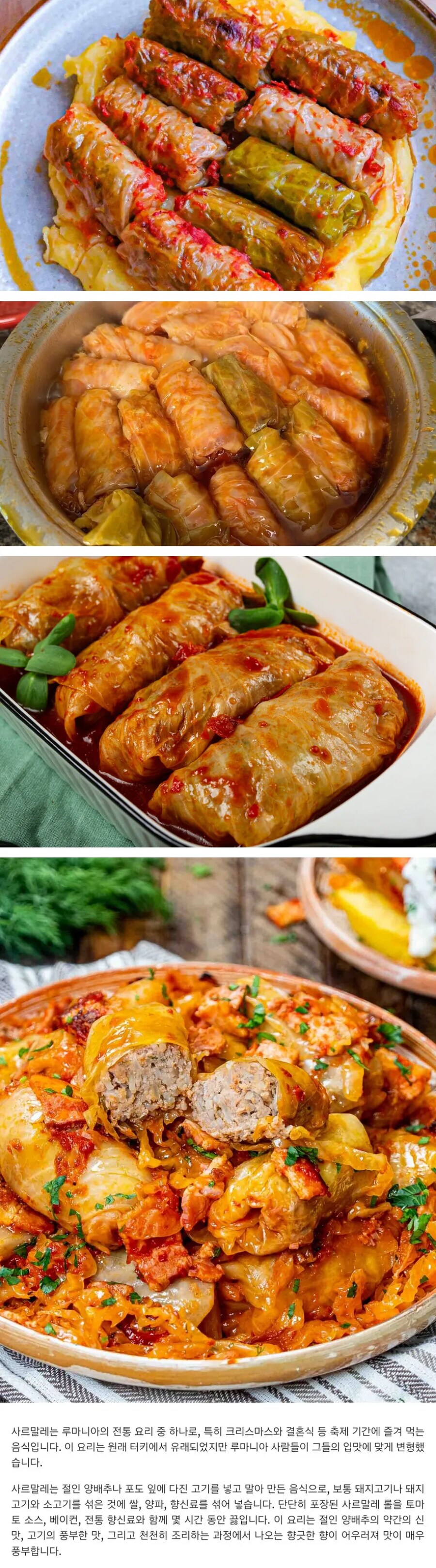 루마니아의 전통 요리_1.png