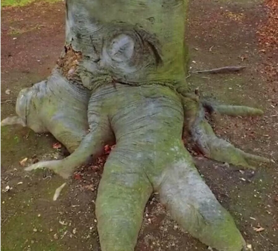 가능?_1.jpg