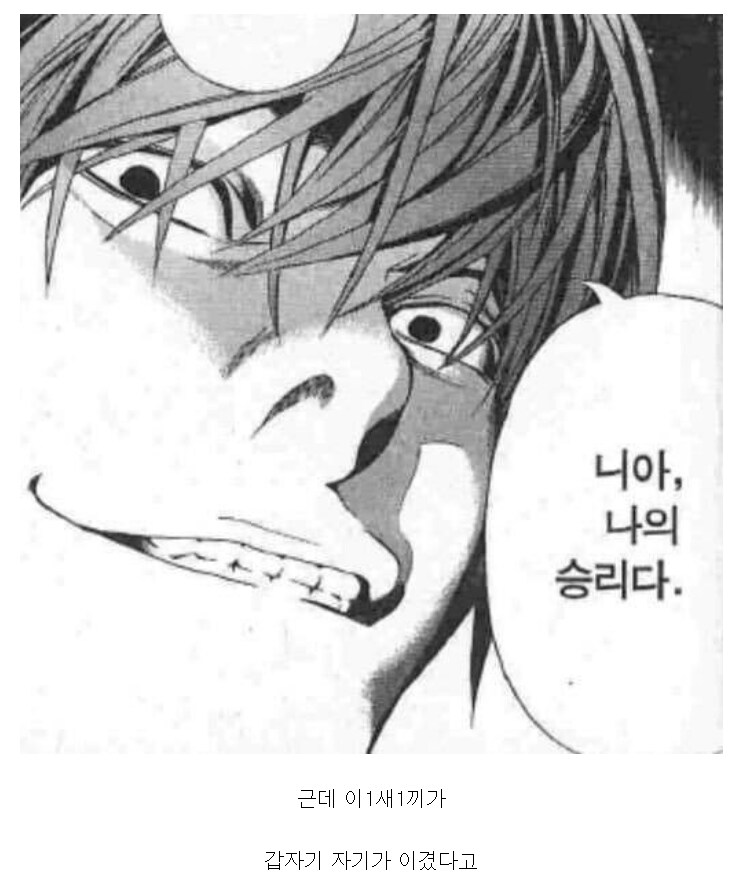 데스노트) 지금봐도 얼탱이 없는 전략 .jpg_2.png