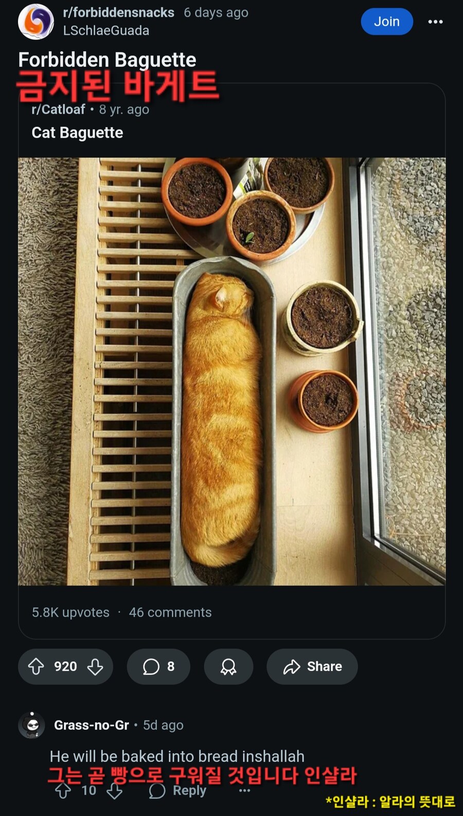 r/forbiddensnacks_7.jpg