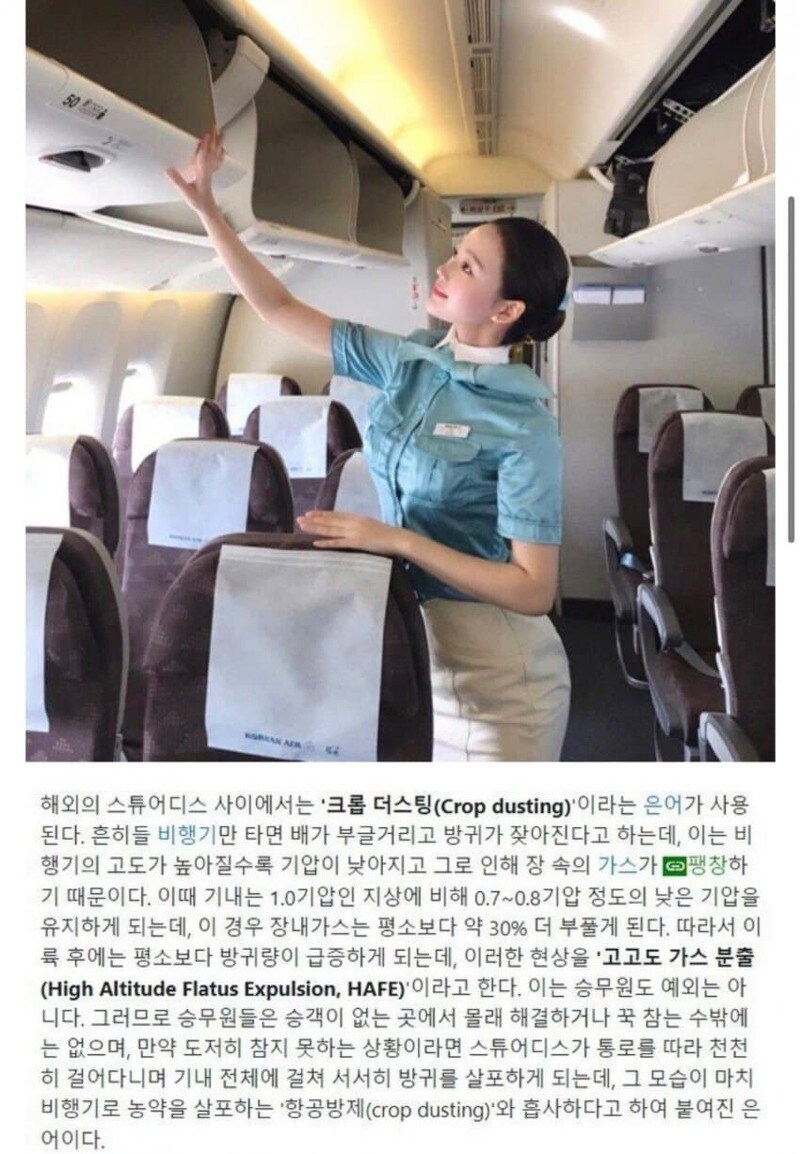비행 도중 한번쯤 겪는 방구차_1.jpg