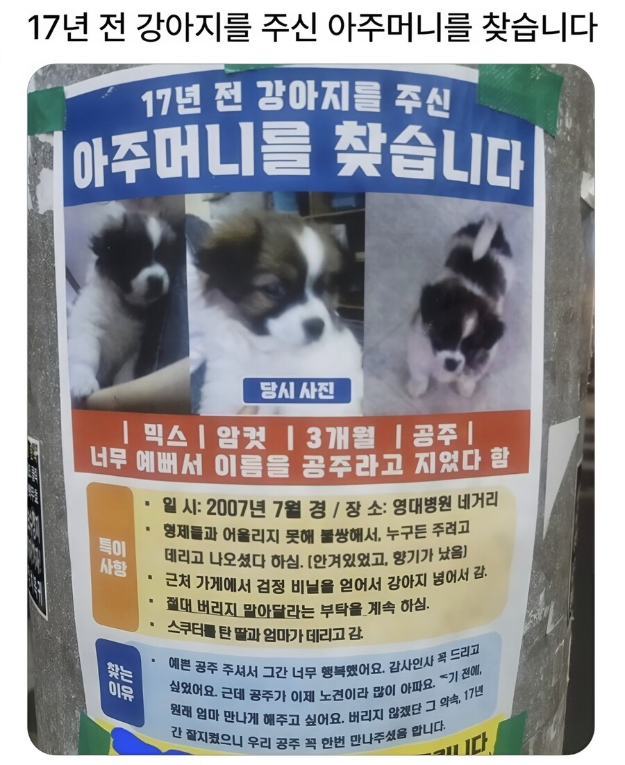 17년 전 강아지를 주신 아주머니를 찾습니다_1.jpg