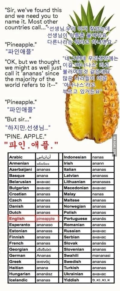 따라해보세요