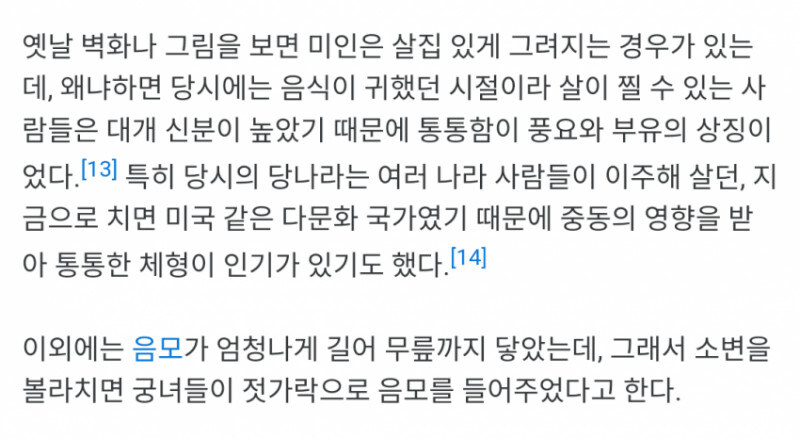 당나라 시절 미녀 양귀비에 대한 충격묘사_1.jpg