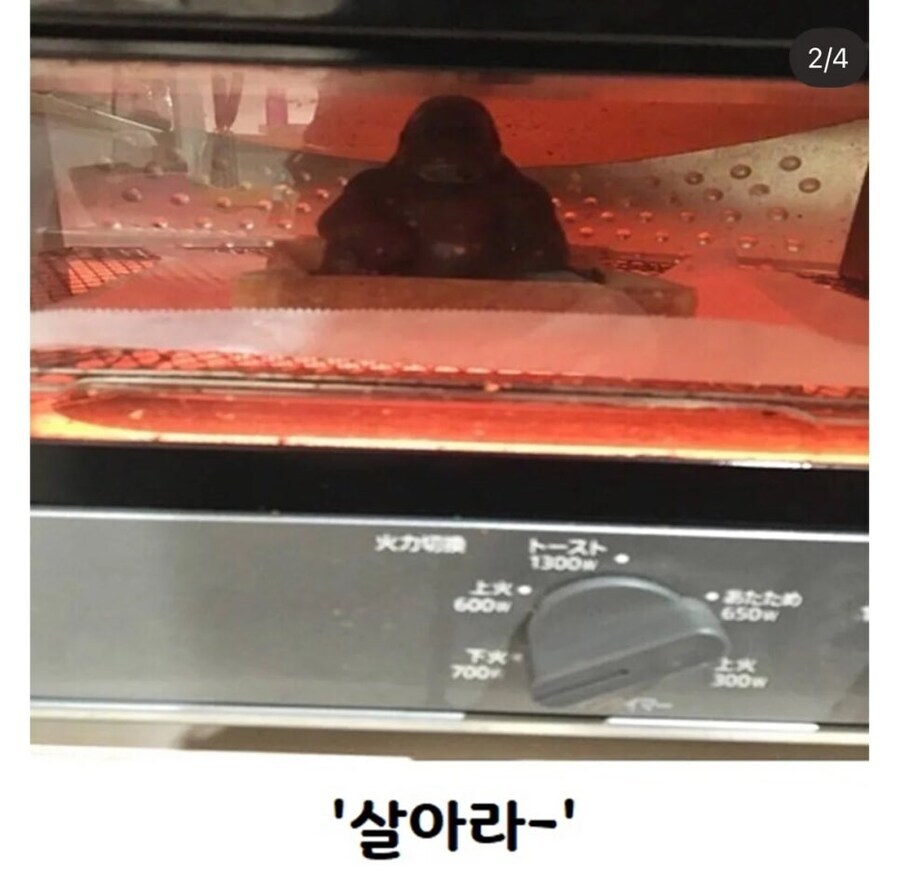 어이 지금까지 고마웠다_2.jpg