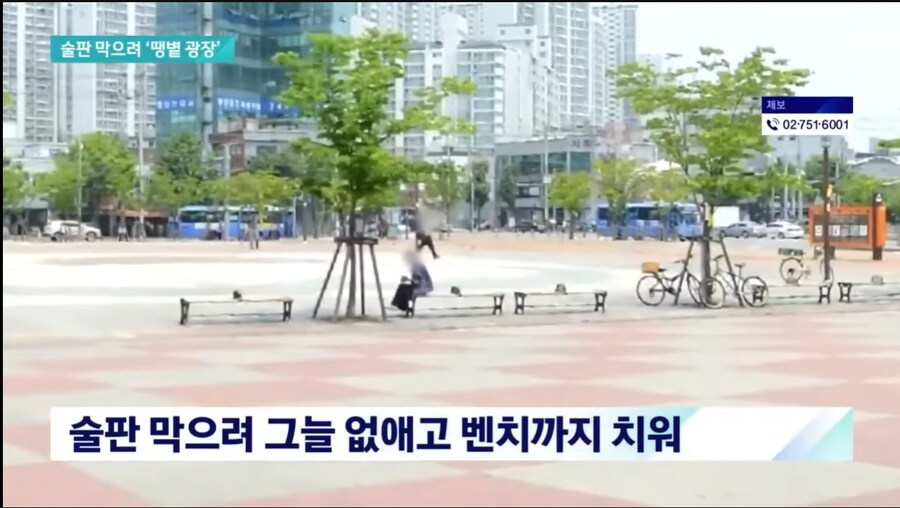 술판 막겠다고 그늘 없앤 구청.jpg_1.png