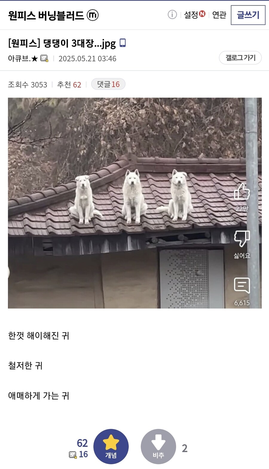 댕댕이 3대장_1.jpg