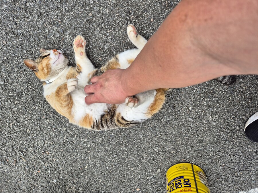 요양병원 짬타이거_4.jpg