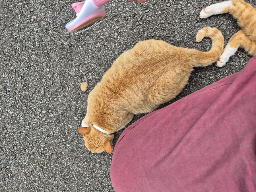 요양병원 짬타이거_5.jpg