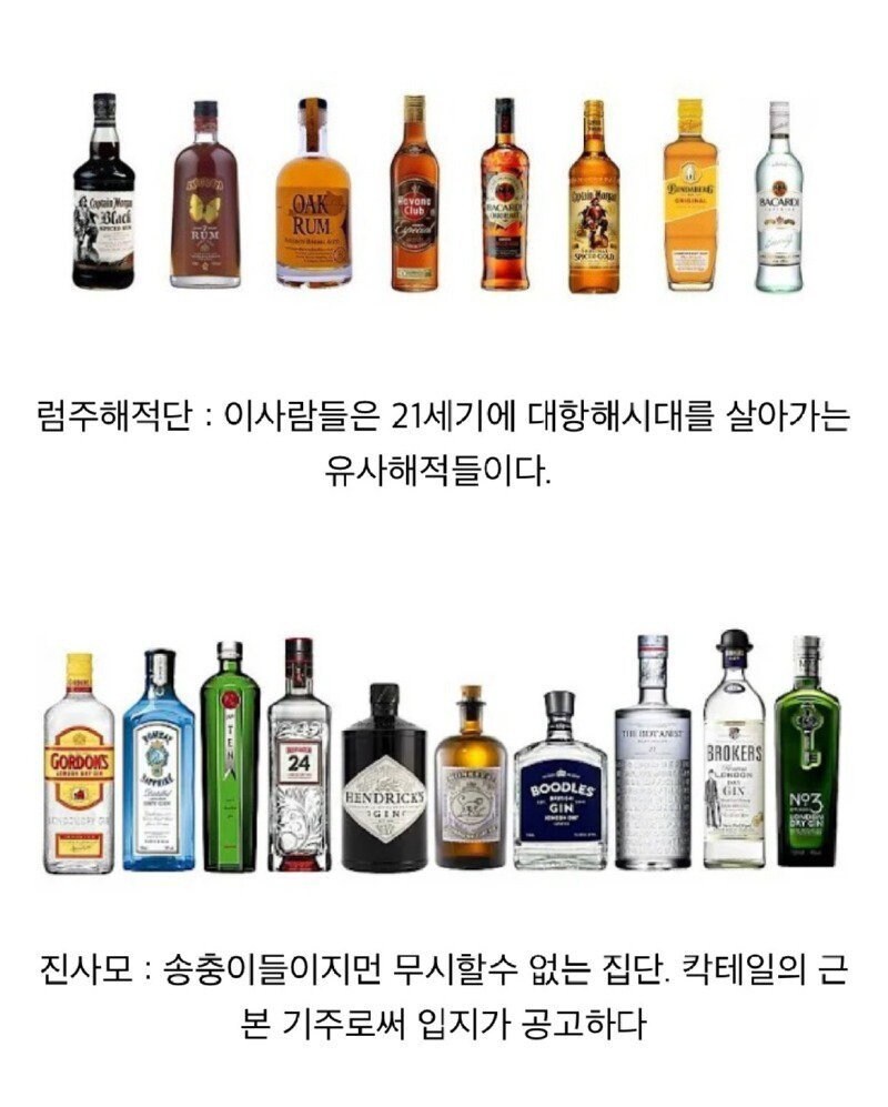 역수입) 술꾼들 사이에서 나누어져 있는 주종별 파벌소개_2.jpg