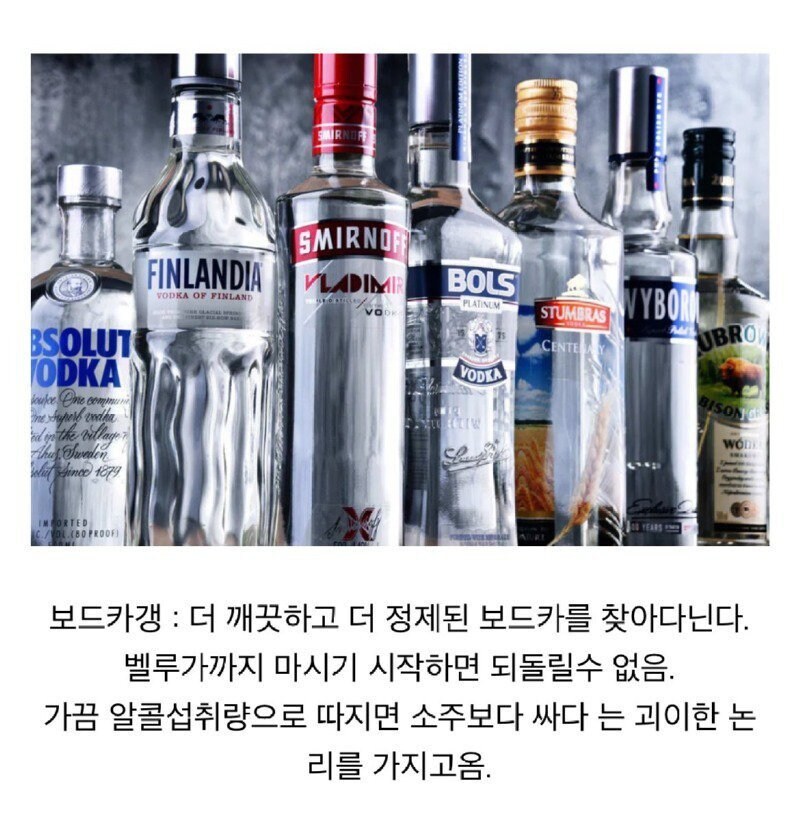역수입) 술꾼들 사이에서 나누어져 있는 주종별 파벌소개_5.jpg