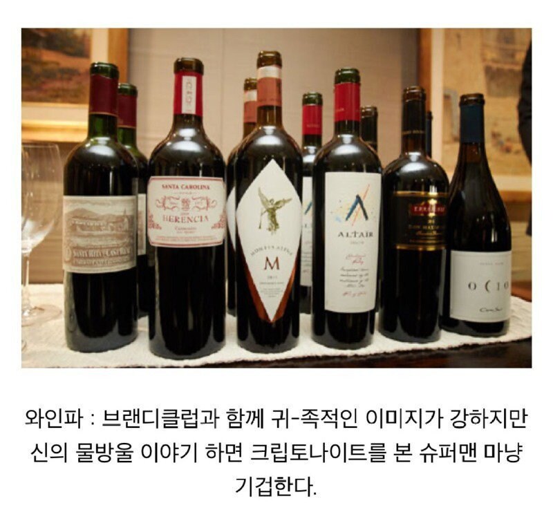 역수입) 술꾼들 사이에서 나누어져 있는 주종별 파벌소개_11.jpg