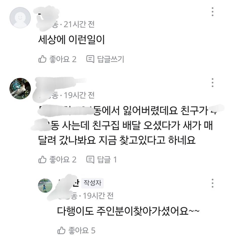 당근에 올라온 앵무새 잃어버리신분 찾는다는 글.JPG_2.jpg