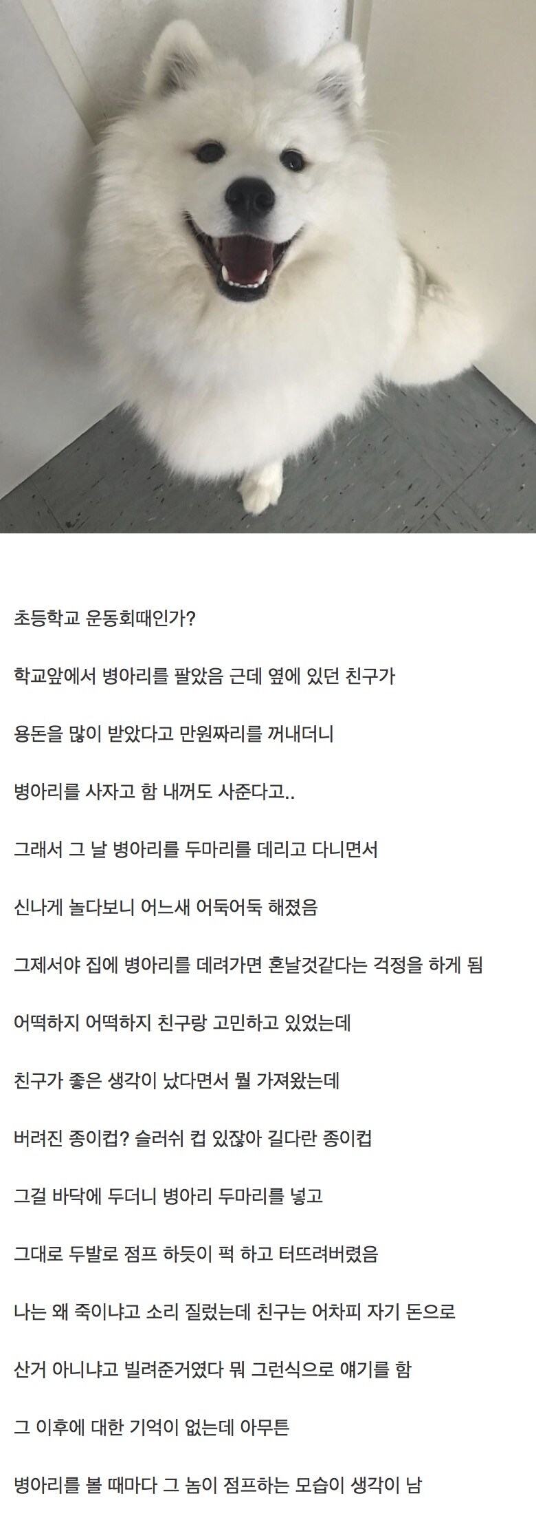 병아리에 트라우마가 있는 웃대인_1.jpg