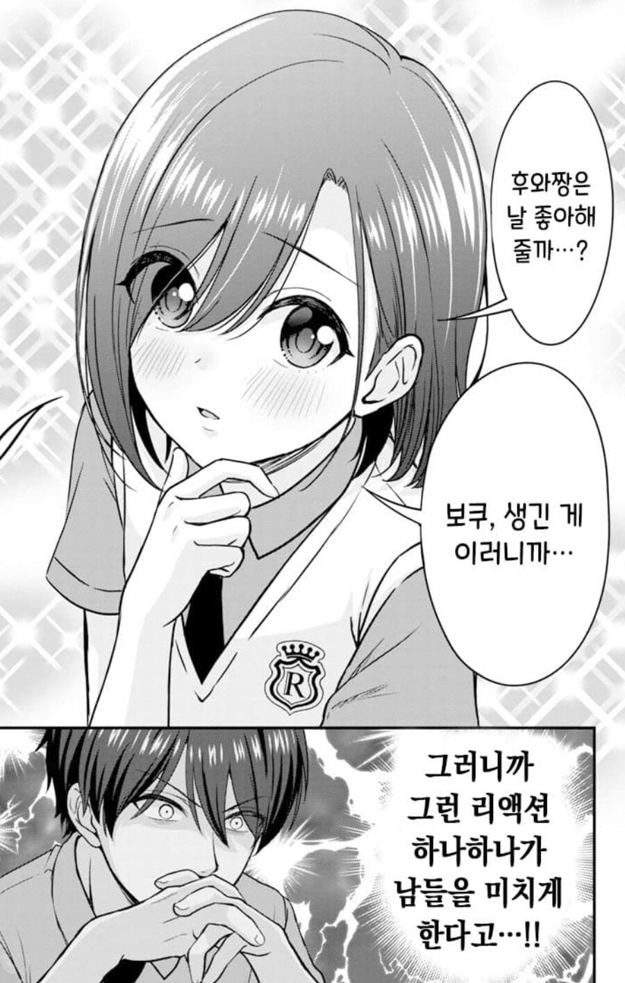 보추에 ㅁㅣ쳐버리겠다는 짤_2.jpg
