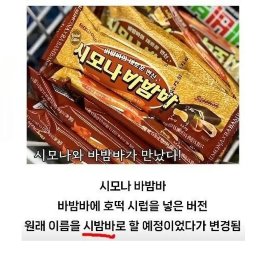 이상한 길을 걷고 있는 바밤바_5.webp