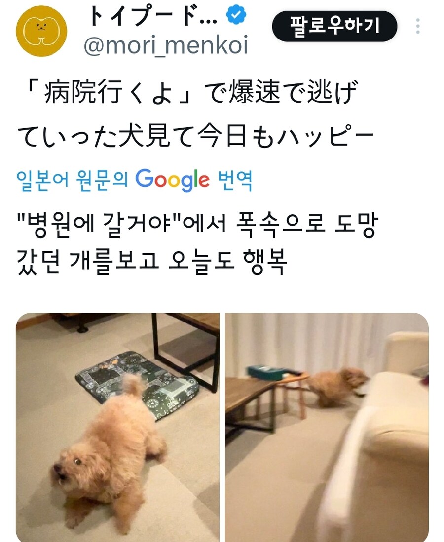 병원가자.jpg_1.jpg