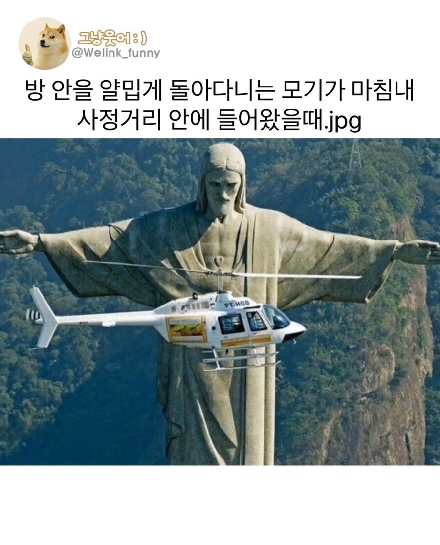 모기가 사정거리 안에 들어왔을 때_1.jpg