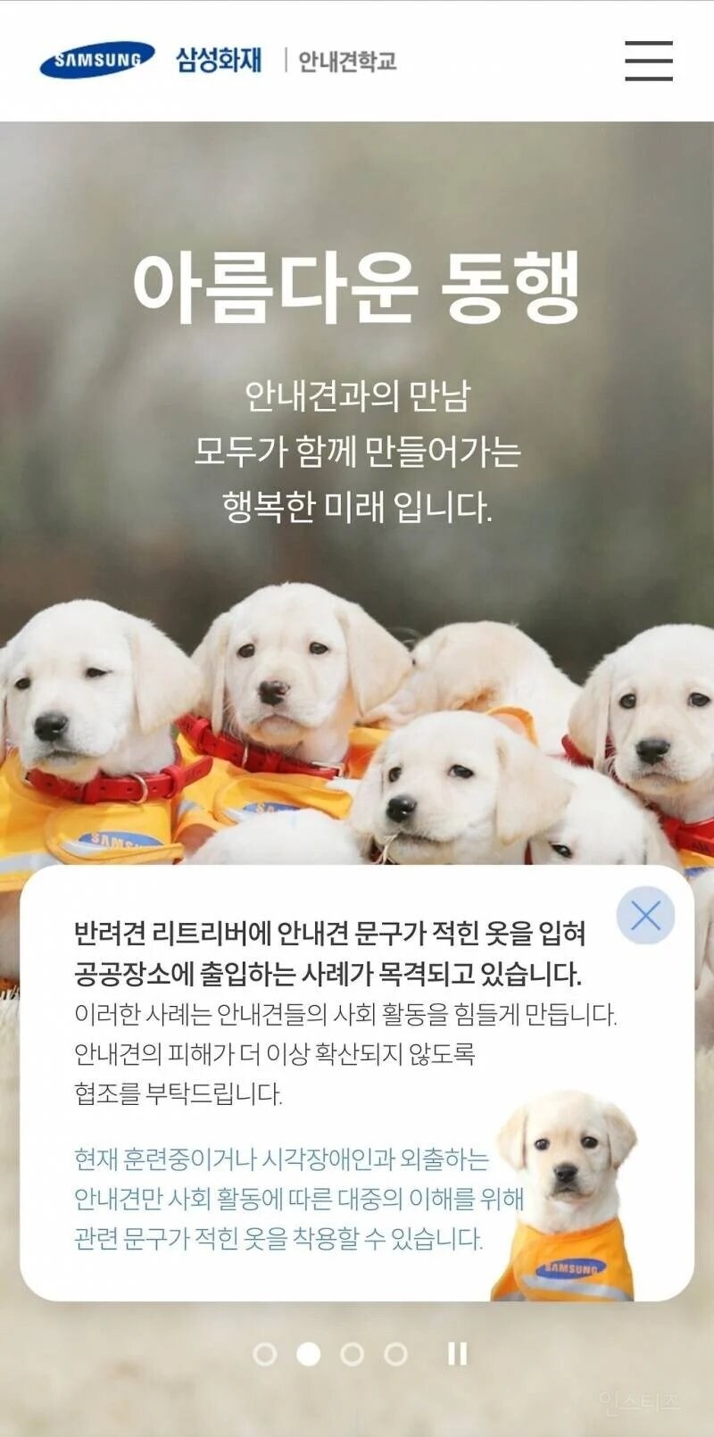안내견 제도를 악용하는 사례_1.jpg
