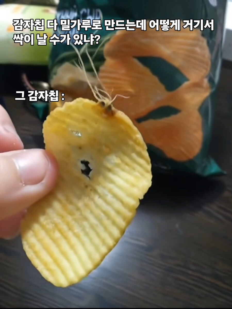 고든 램지가 좋아할 감자칩_1.jpg