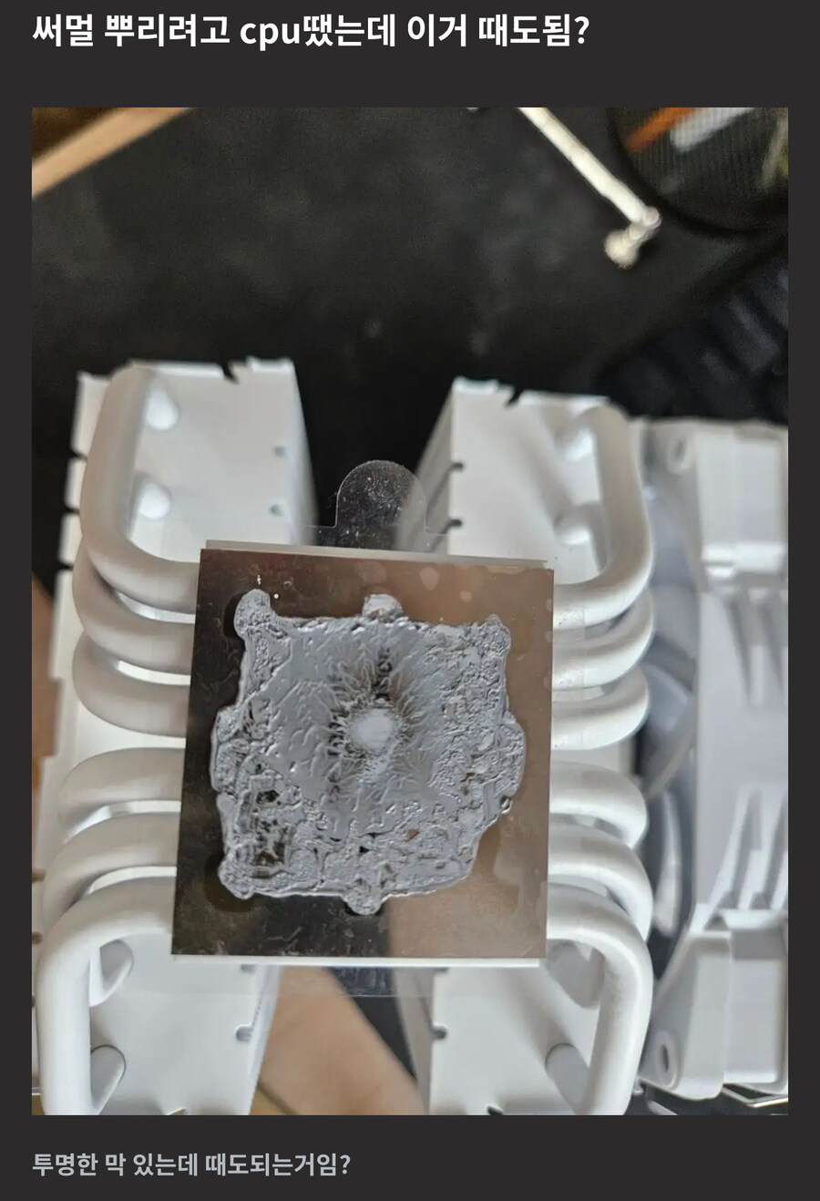 가끔씩 올라오는 서멀구리스 해골물_1.jpg
