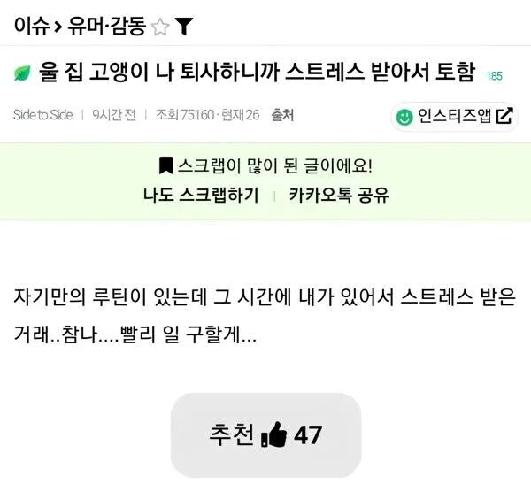 울 집 고양이 나 퇴사하니깐 스트레스 받나봐_1.jpg