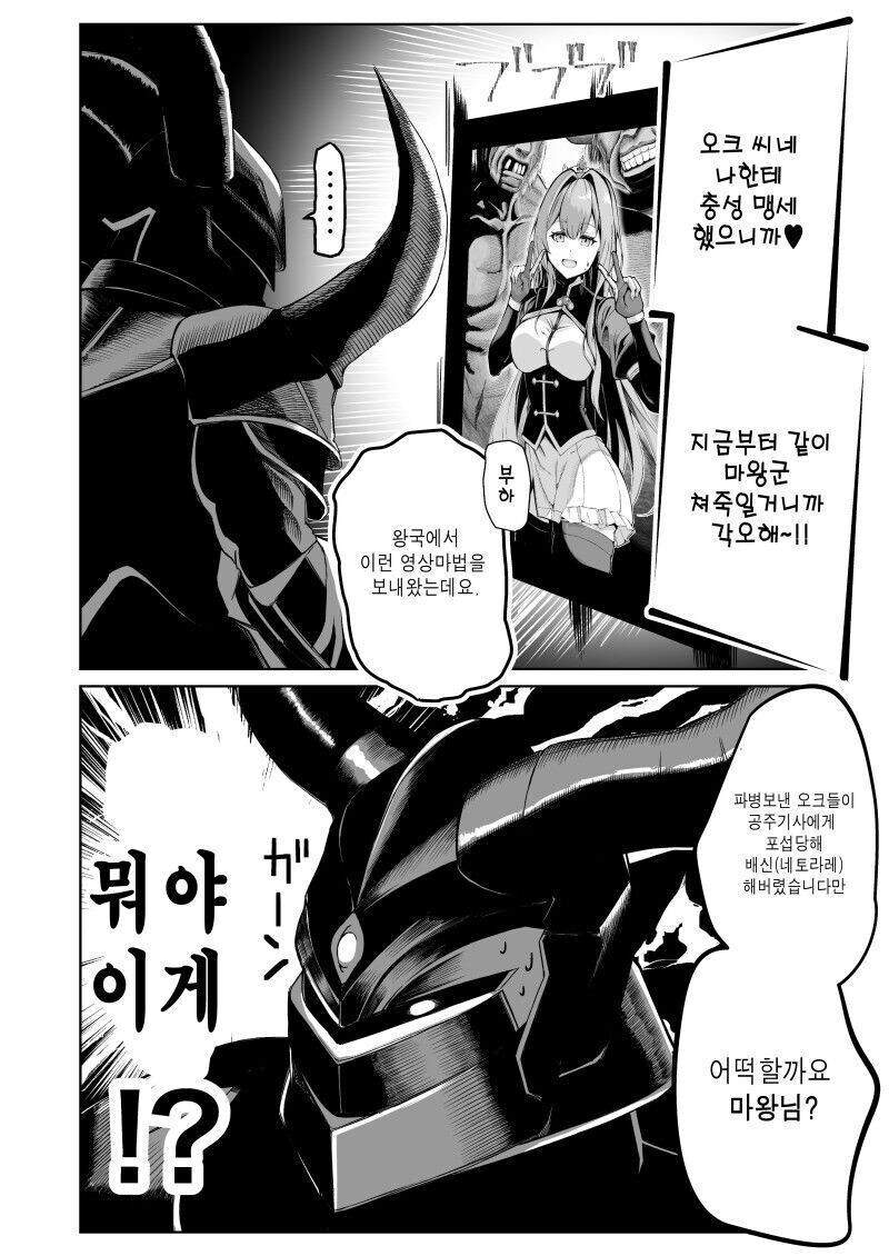 공주기사 NTR_2.jpg