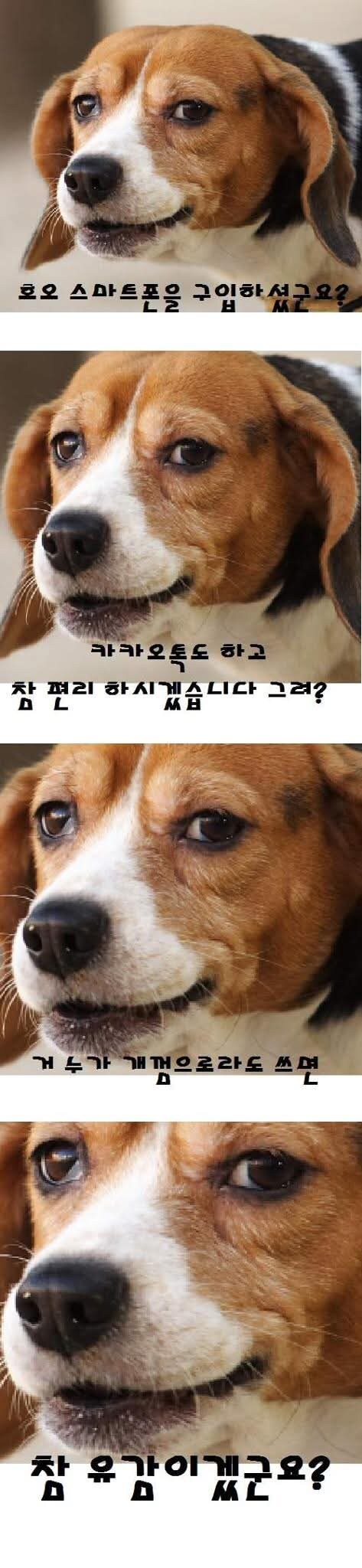 ??? : 스마트폰을 사셨군요.jpg_1.jpg