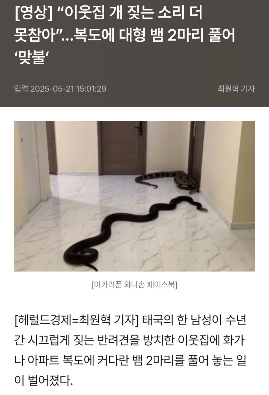 오로치마루vs아카마루.jpg_1.jpg