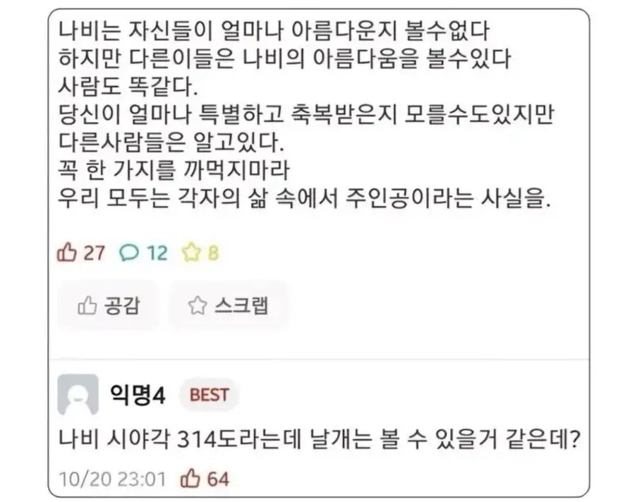 나비는 자신의 아름다움을 볼수 없다_1.jpg