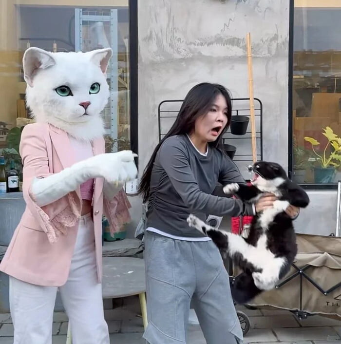 아! 놔봐~! 진짜!_1.jpg