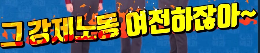 WHO가 하라고 했다고 카운터_6.jpg