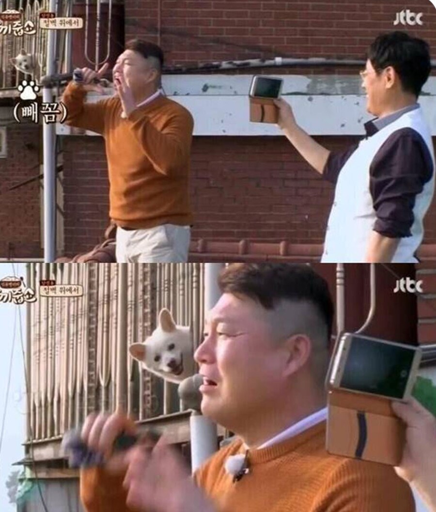 헤헿 연예인이당 신기행 해햏_1.jpg