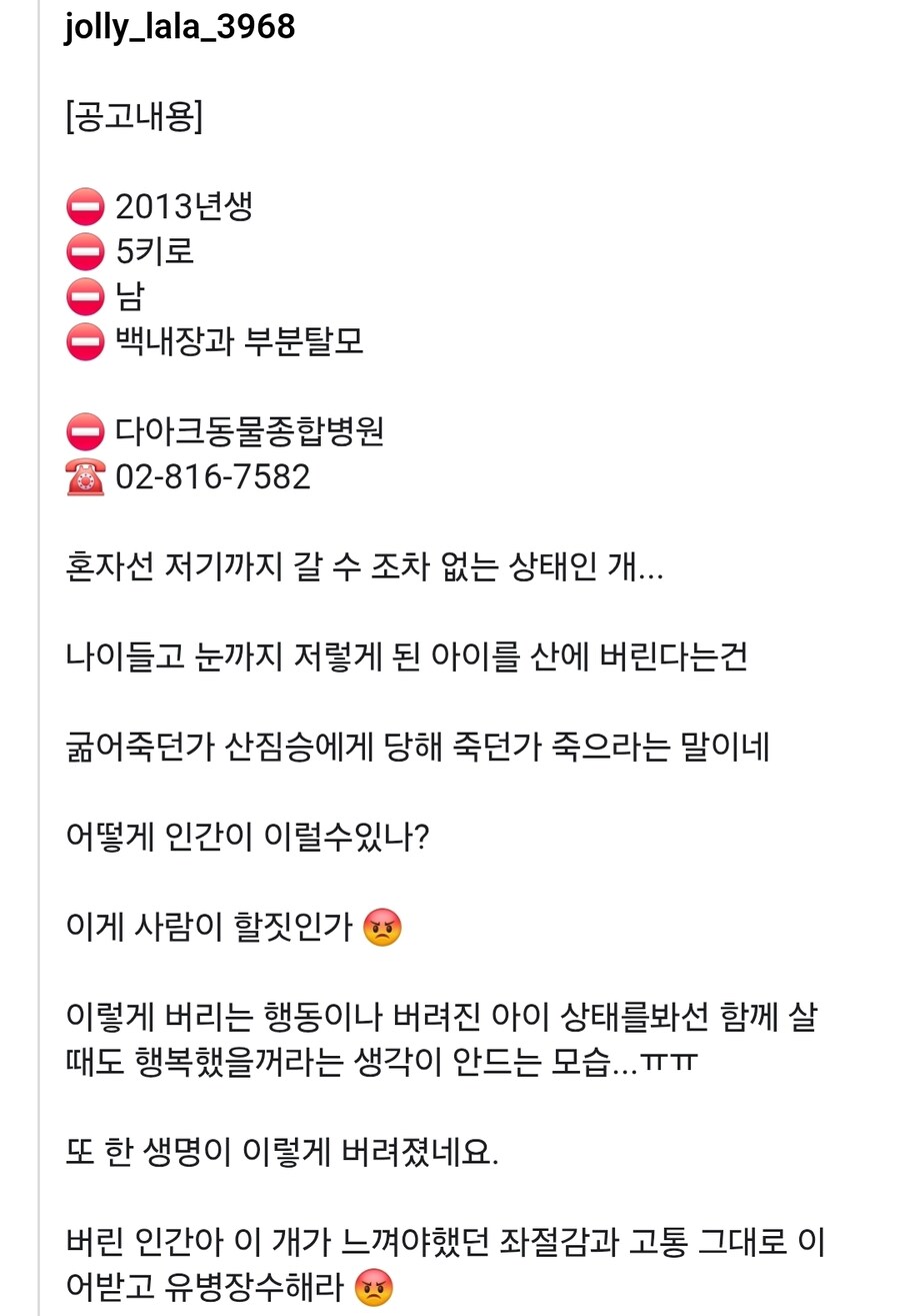 산 속에 버려진 시력없는 노견.jpg_2.jpg