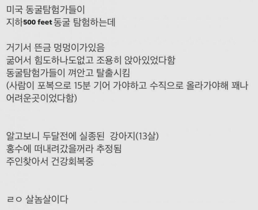500피트 지하동굴 탐험 중 발견된 댕댕이_3.jpg