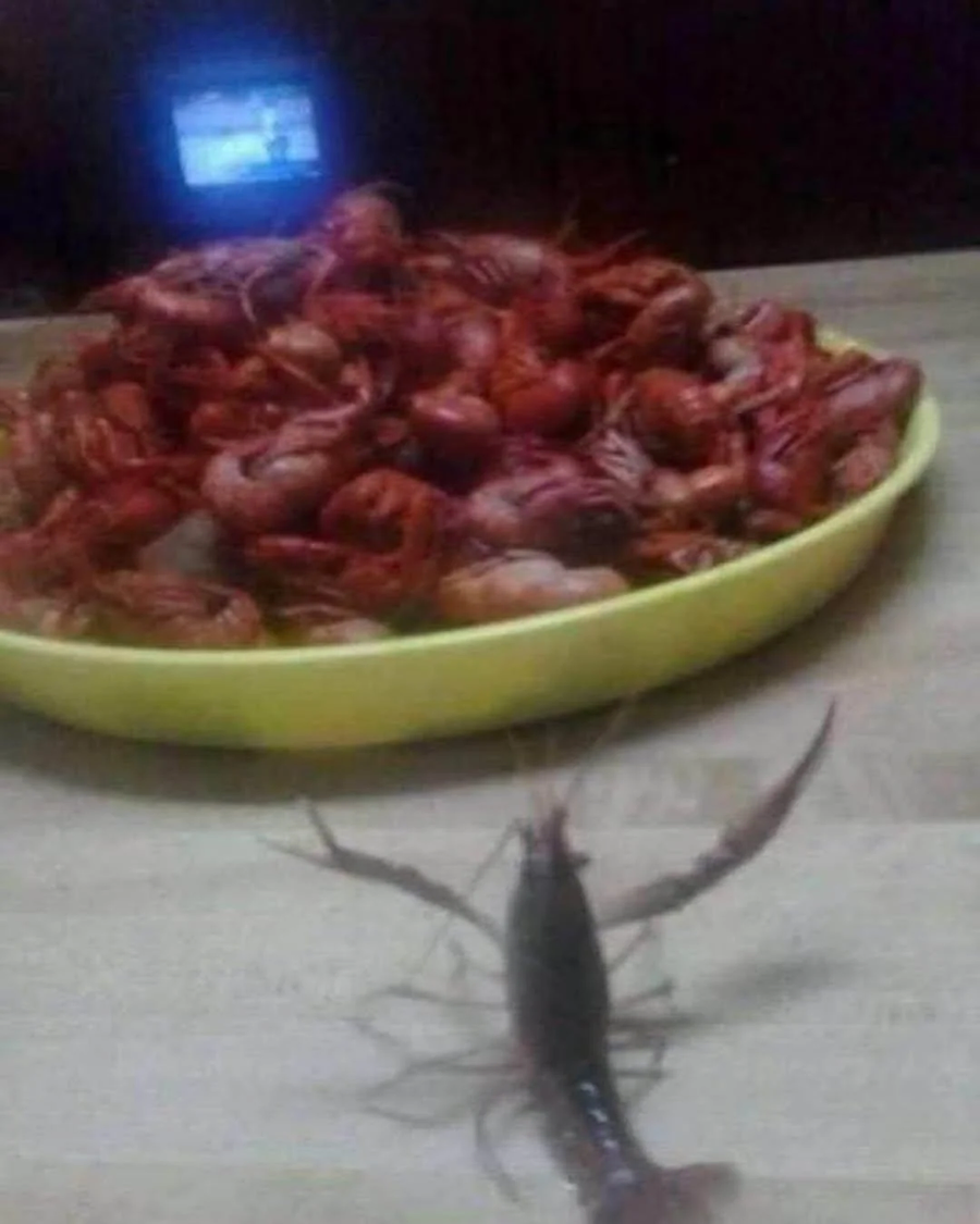 비탄하고, 애탄하며, 파탄하라_1.webp