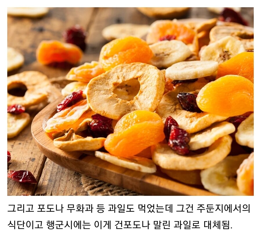 고대 로마군 식단을 알아보자_3.jpg