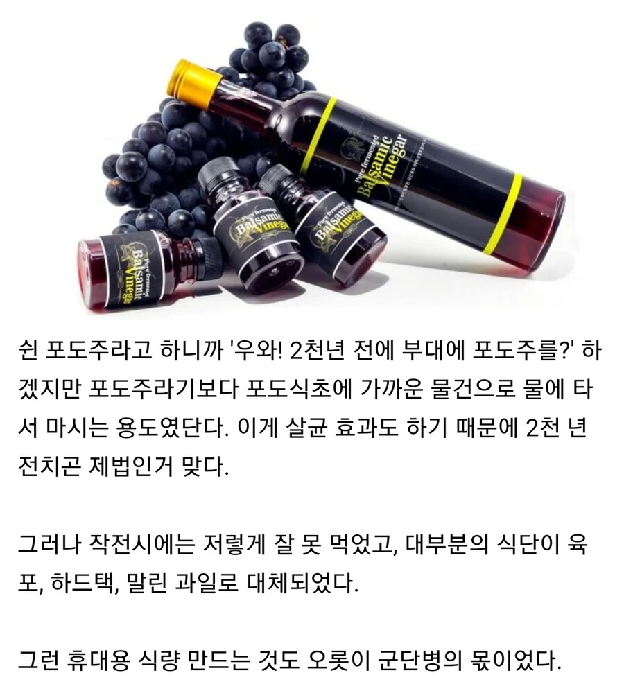 고대 로마군 식단을 알아보자_6.jpg