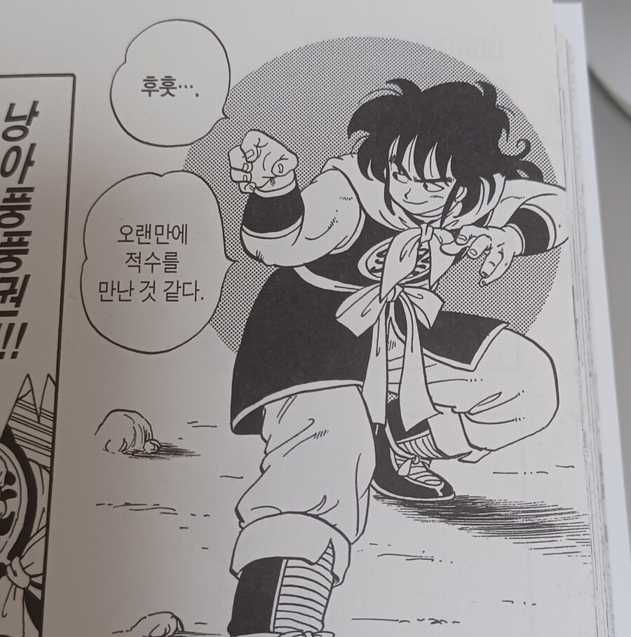 드래곤볼 1권의 야무치_1.jpg