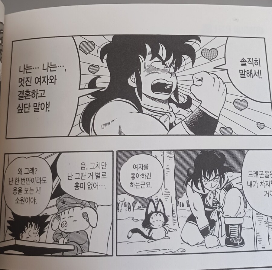 드래곤볼 1권의 야무치_3.jpg